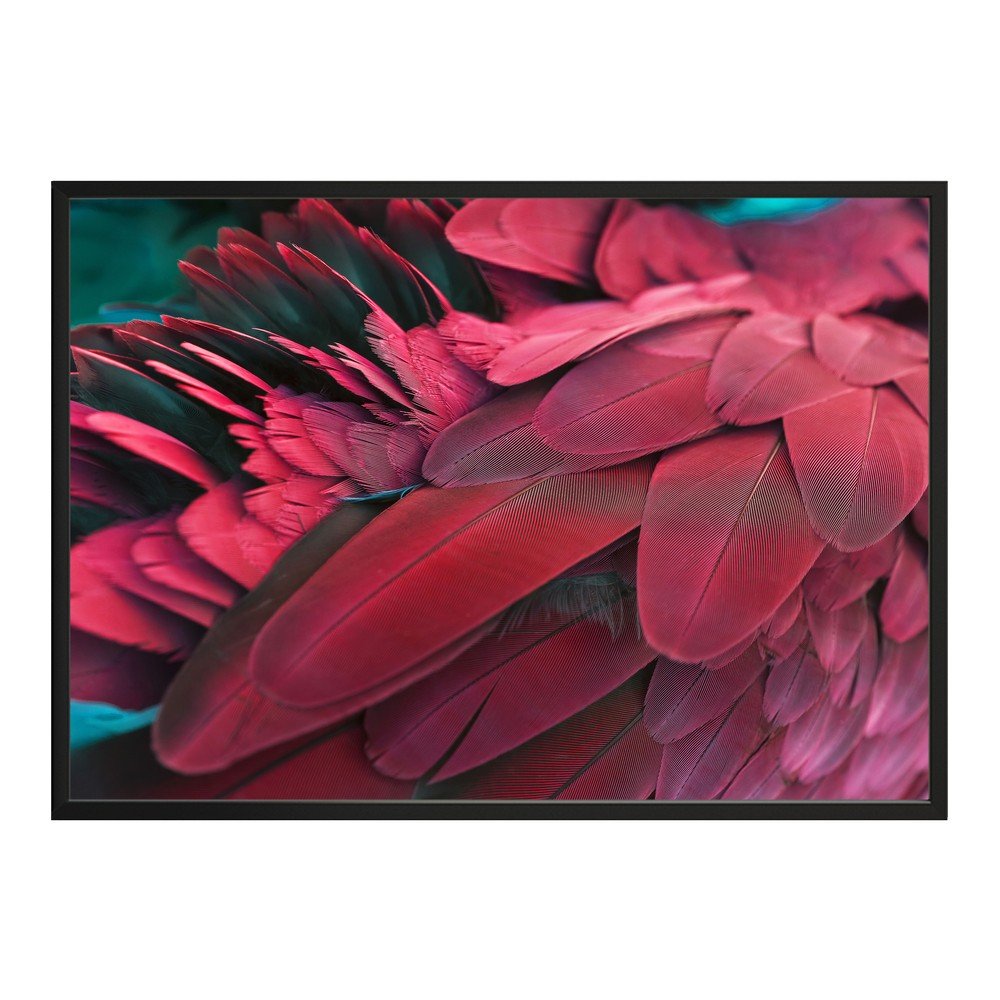 Plakát DecoKing Feathers Red, 70 x 50 cm v:1279604