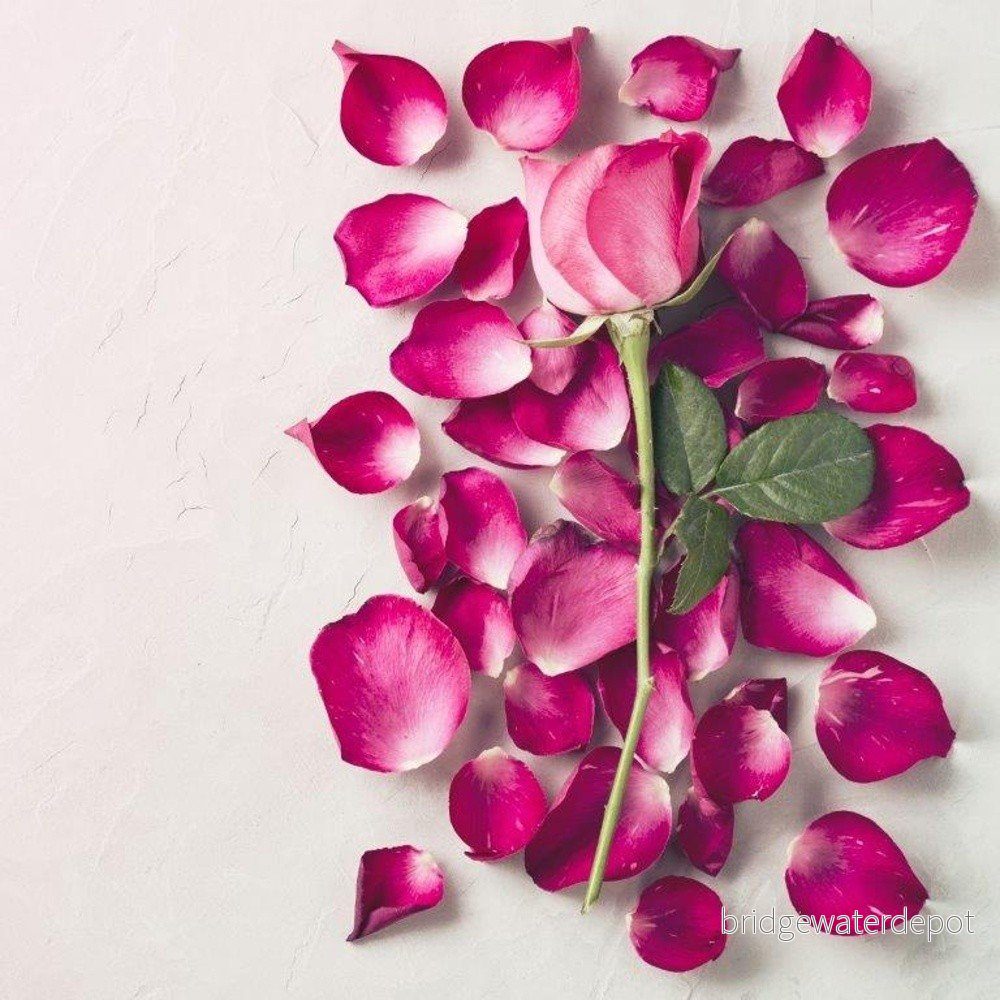 Skleněný obraz DecoMalta Rose, 30 x 30 cm v:819292
