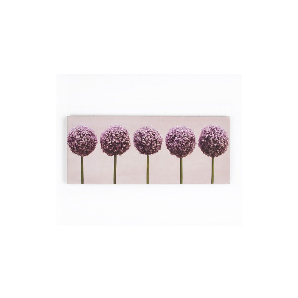 Obraz Graham & Brown Row Of Alliums, 100 x 40 cm v:744906
