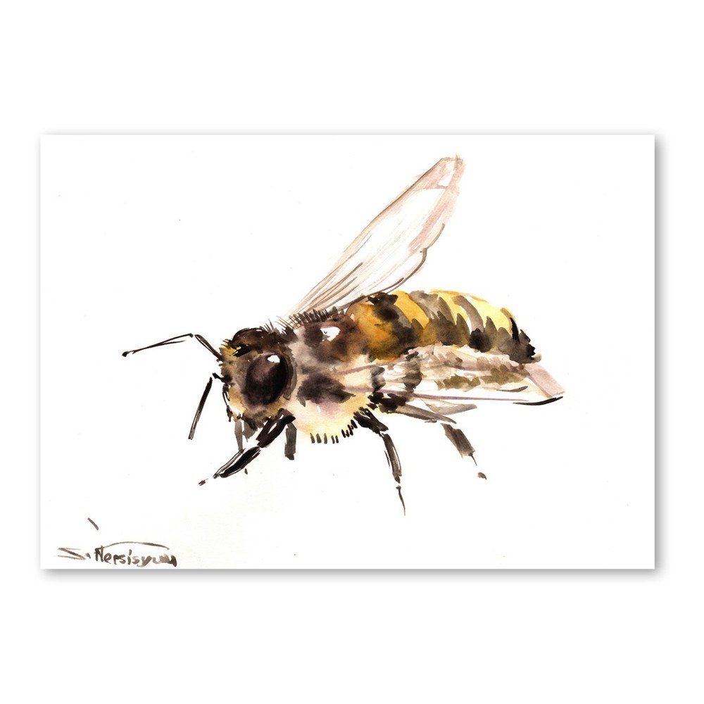 Autorský plakát Bee od Surena Nersisyana, 42 x 30 cm v:758456