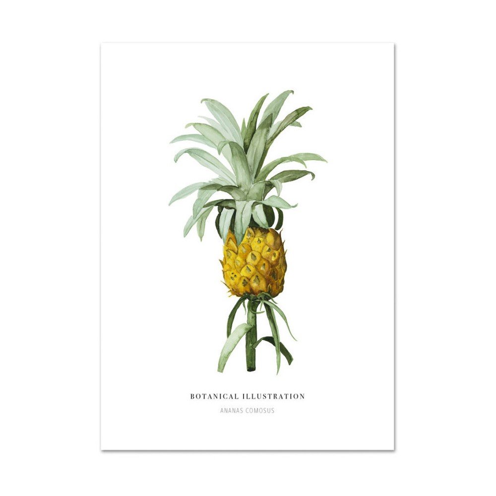 Plakát Leo La Douce Ananas Comosus, 29,7 x 42 cm v:828562
