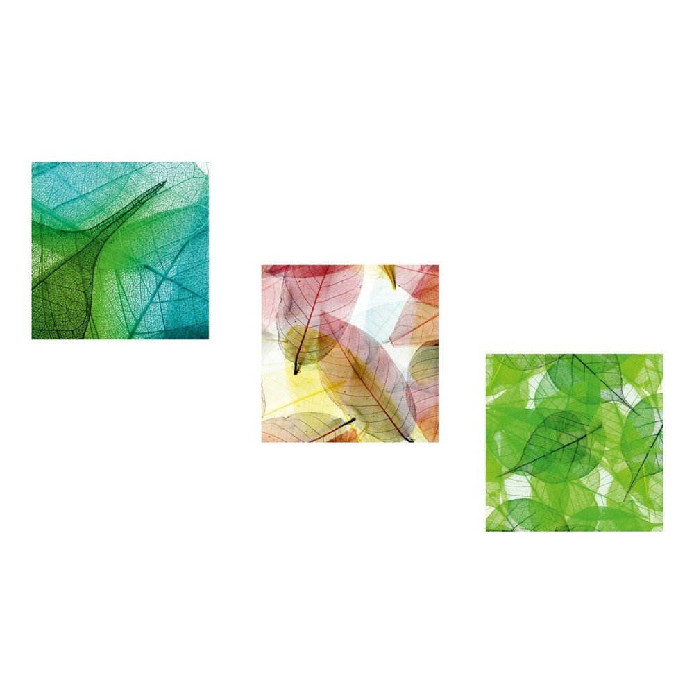 Sada 3 obrazů Wall Framework Tropical Leafes v:812050