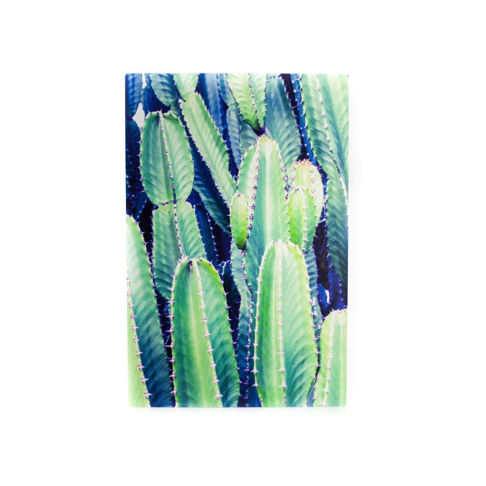Nástěnný obraz Velvet Atelier Cactus, 40 x 60 cm v:1016870