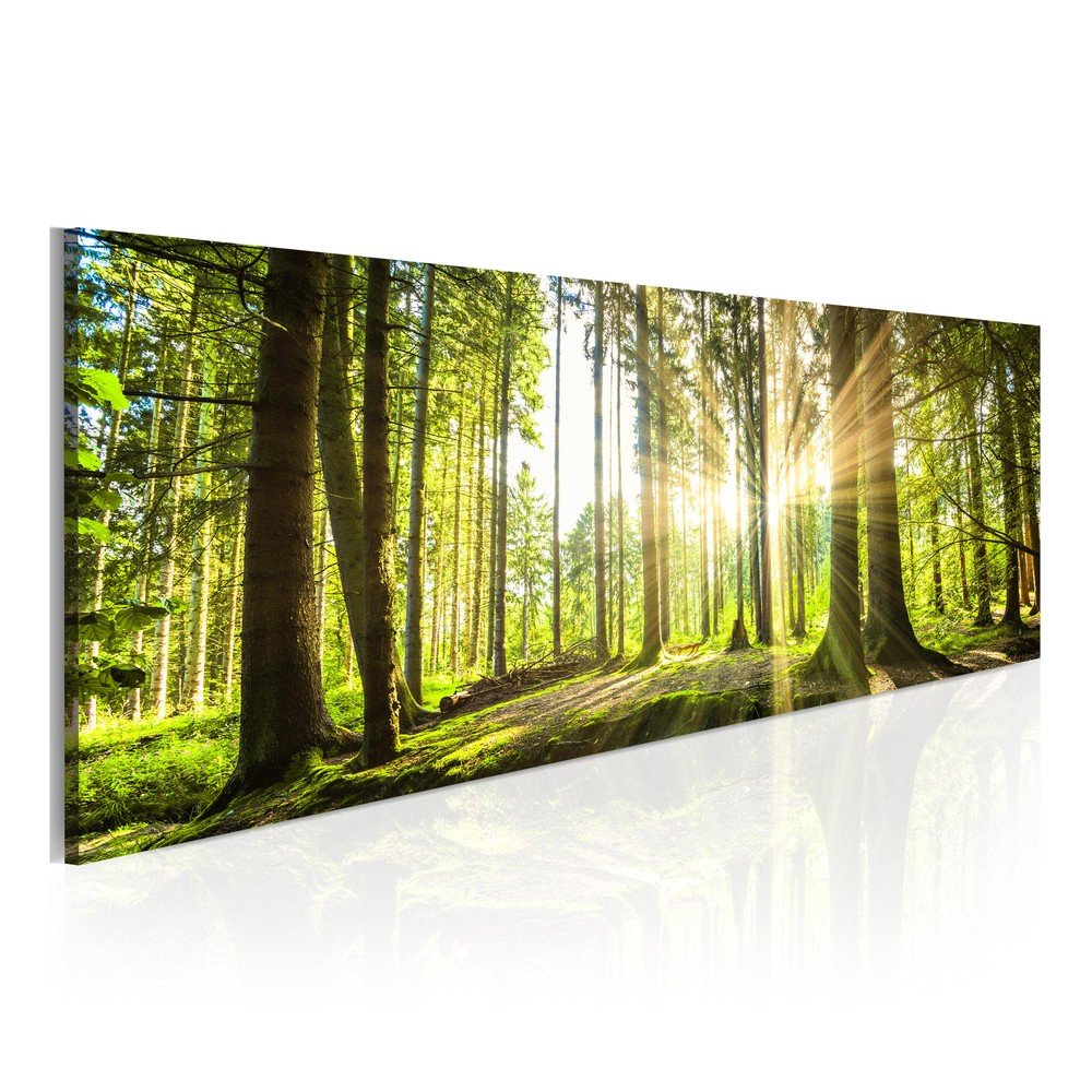 Obraz na plátně Bimago Daylight 135 x 45 cm v:917870