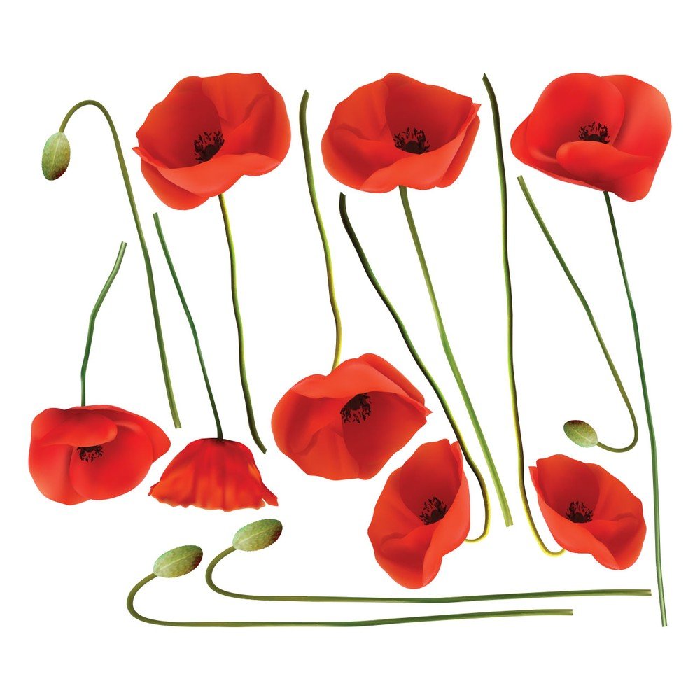Sada samolepek na zeď Ambiance Vermeil Poppies, 60 x 70 cm v:1294062
