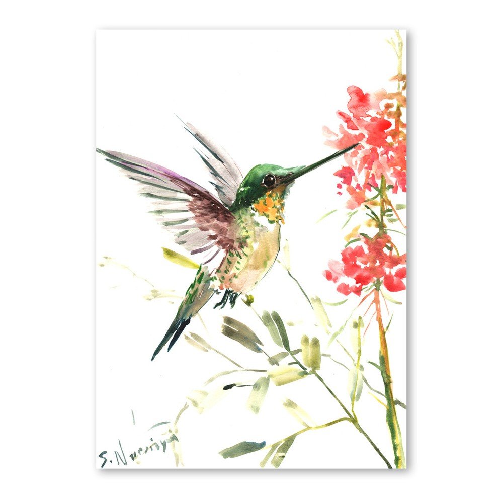 Autorský plakát Hummingbird od Surena Nersisyana, 42 x 30 cm v:758468