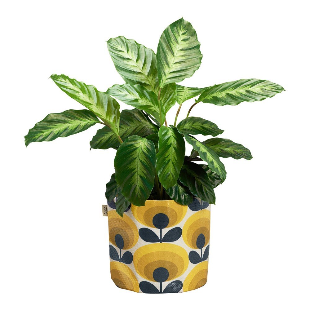 Žlutý textilní květináč Orla Kiely Dandelion, Ø 18 cm v:844244