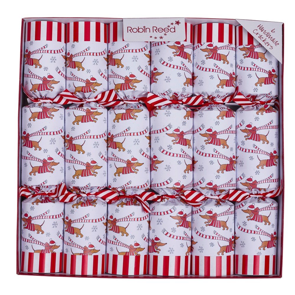 Vánoční crackery v sadě 6 ks Racing Sausage Dog – Robin Reed v:1737056