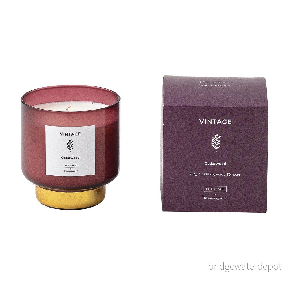 Vonná svíčka doba hoření 50 h Vintage Cedarwood – ILLUME x Bloomingville v:1565288