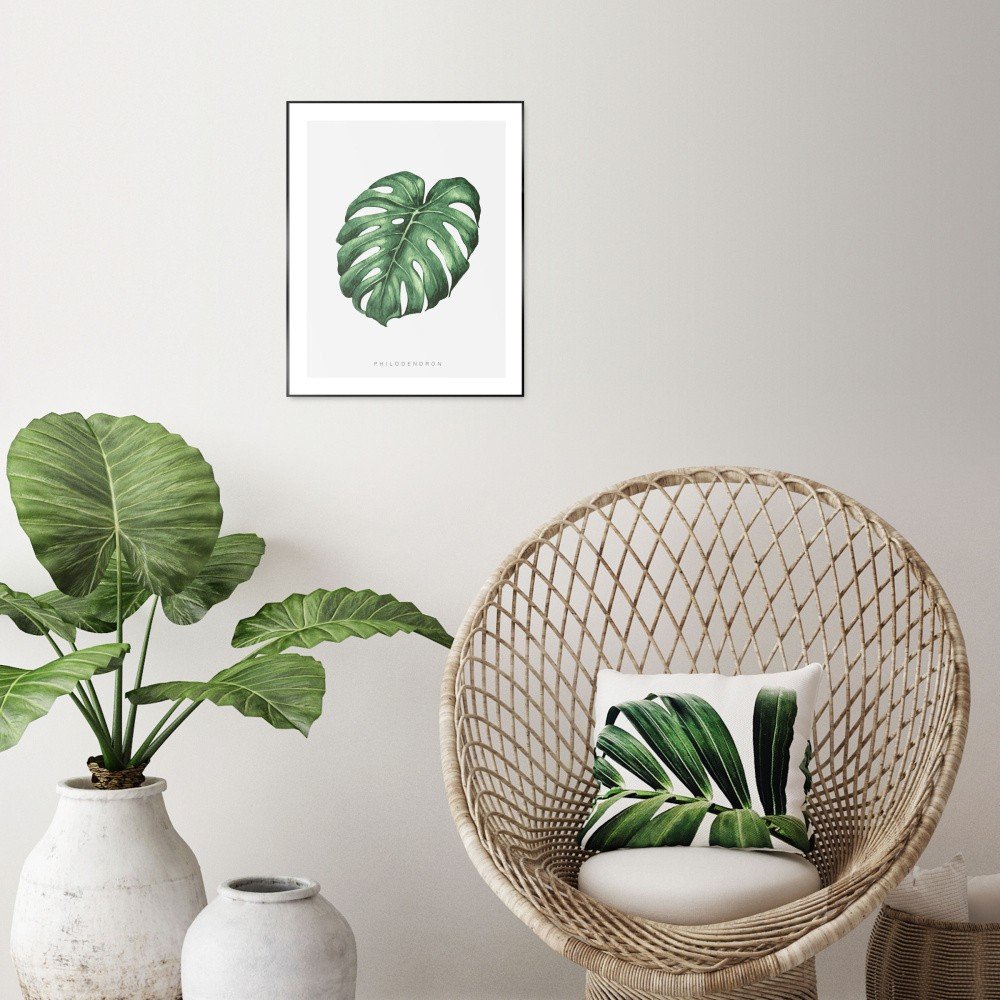 Obraz v černém rámu OrangeWallz Philodendron, 40 x 50 cm v:1144192