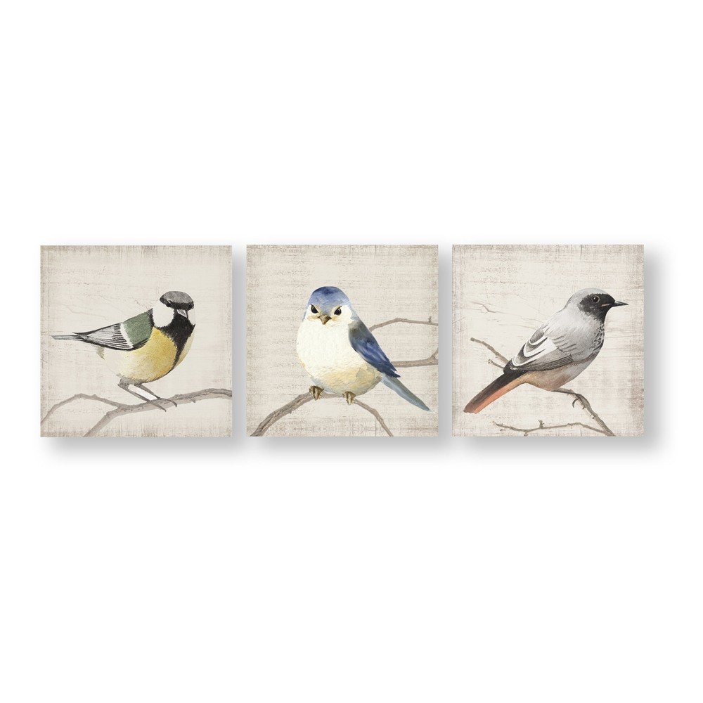 Sada 3 nástěnných obrazů Graham & Brown Perched Birds v:1346235