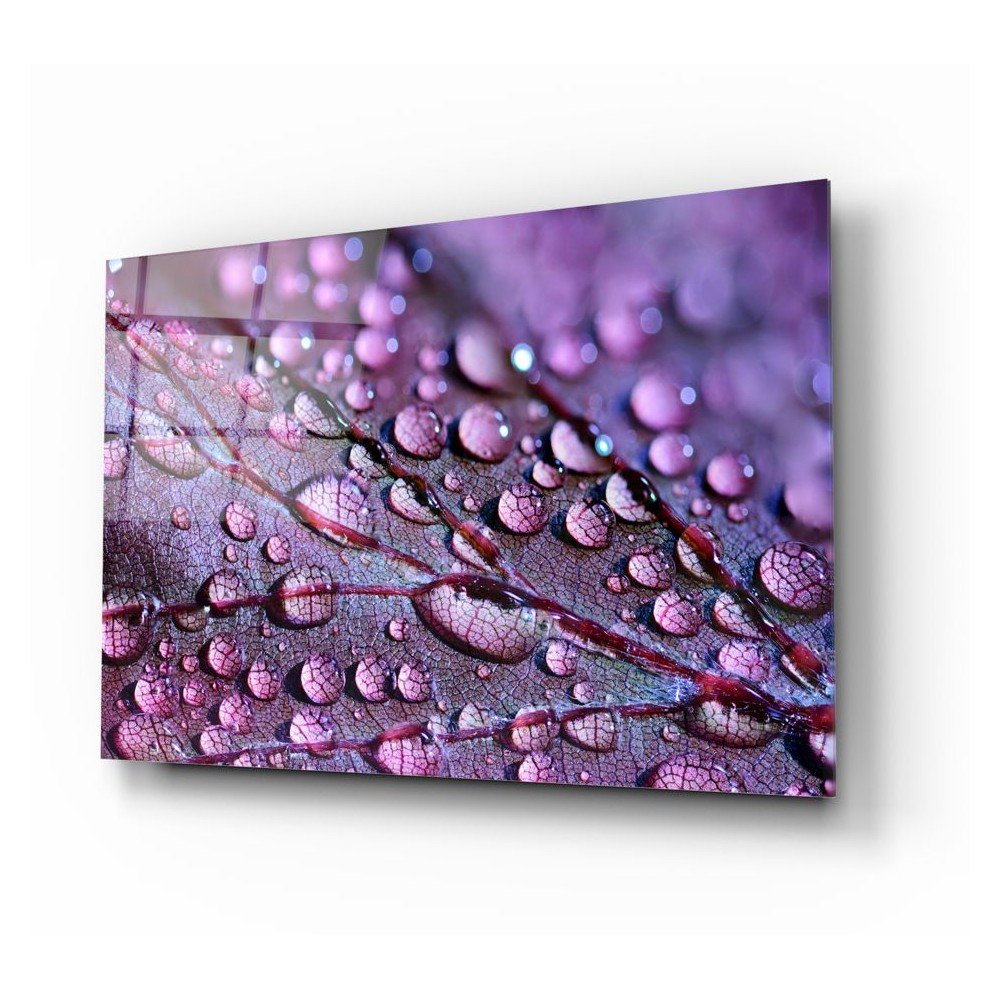 Skleněný obraz Insigne Rain Drops v:1325660