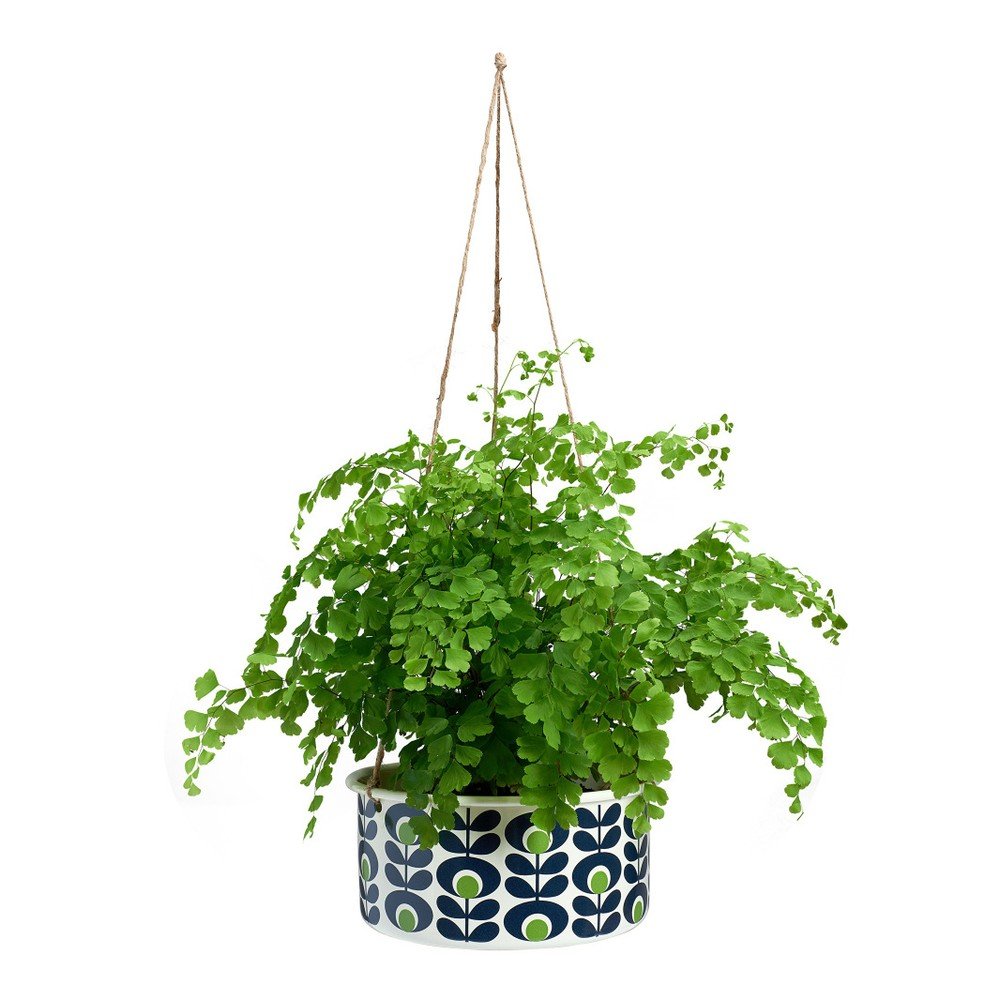 Závěsný květináč Orla Kiely Plant v:802922