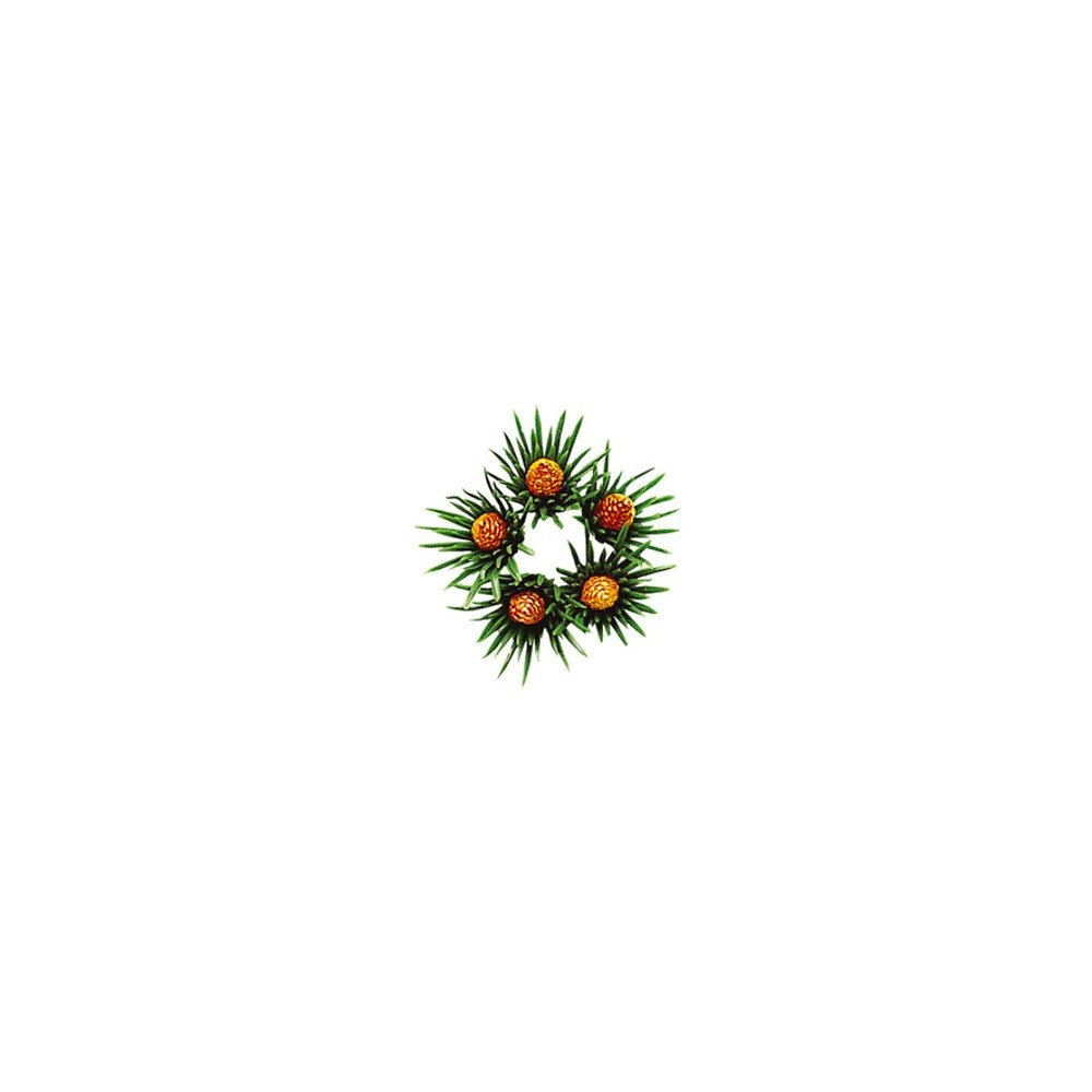 Vánoční dekorace Best Season Bobeche Gold Cones v:690224