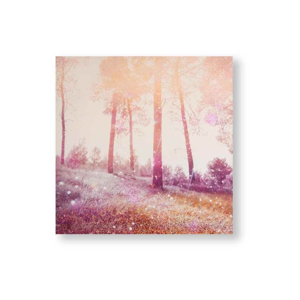 Obraz Graham & Brown Meadow Daydream, 60 x 60 cm v:1147416