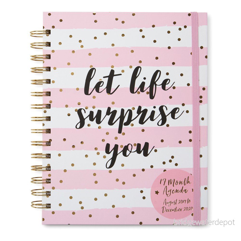 Růžový diář na 17 měsíců Tri-Coastal Design Smile Surprise v:1321544