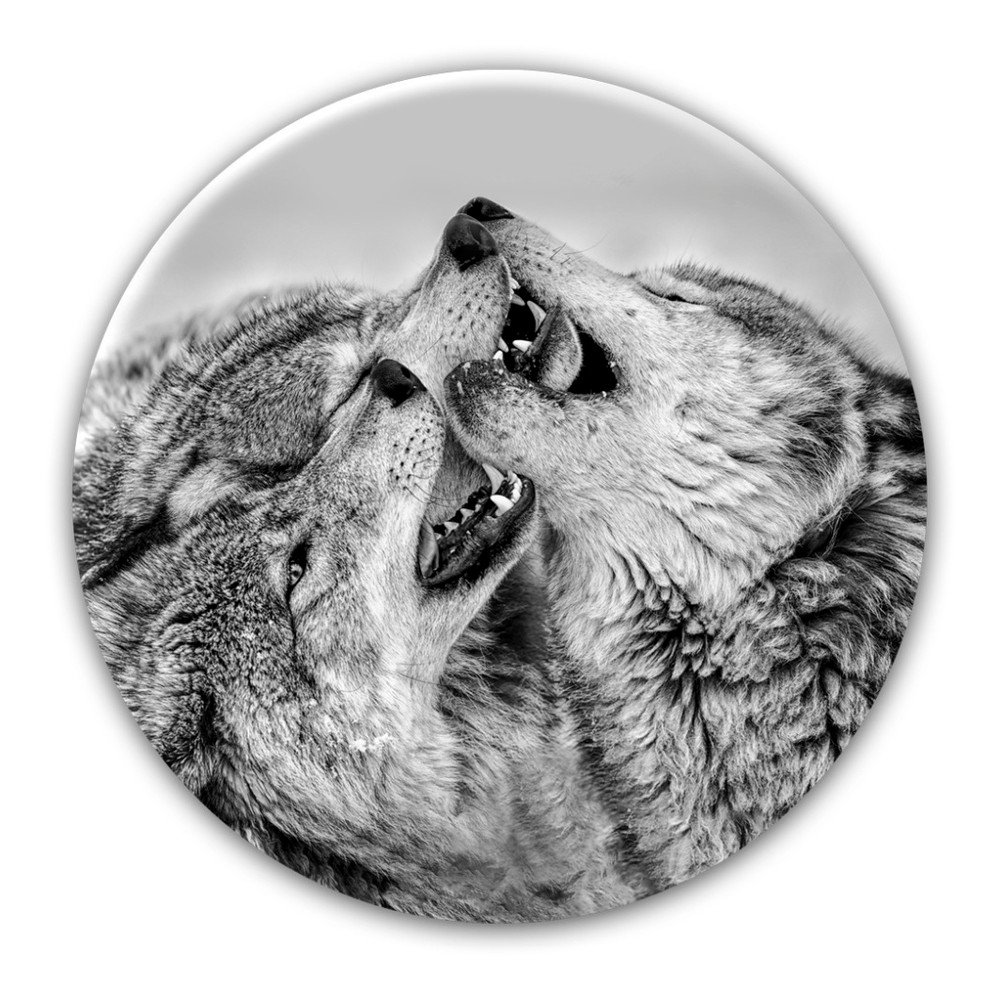 Nástěnná dekorace Styler Glas Ringart Wolves, ø 70 cm v:1195768