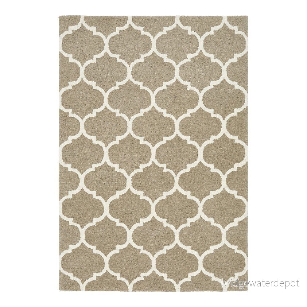 Světle hnědý ručně tkaný vlněný koberec 120x170 cm Albany – Asiatic Carpets v:1639132
