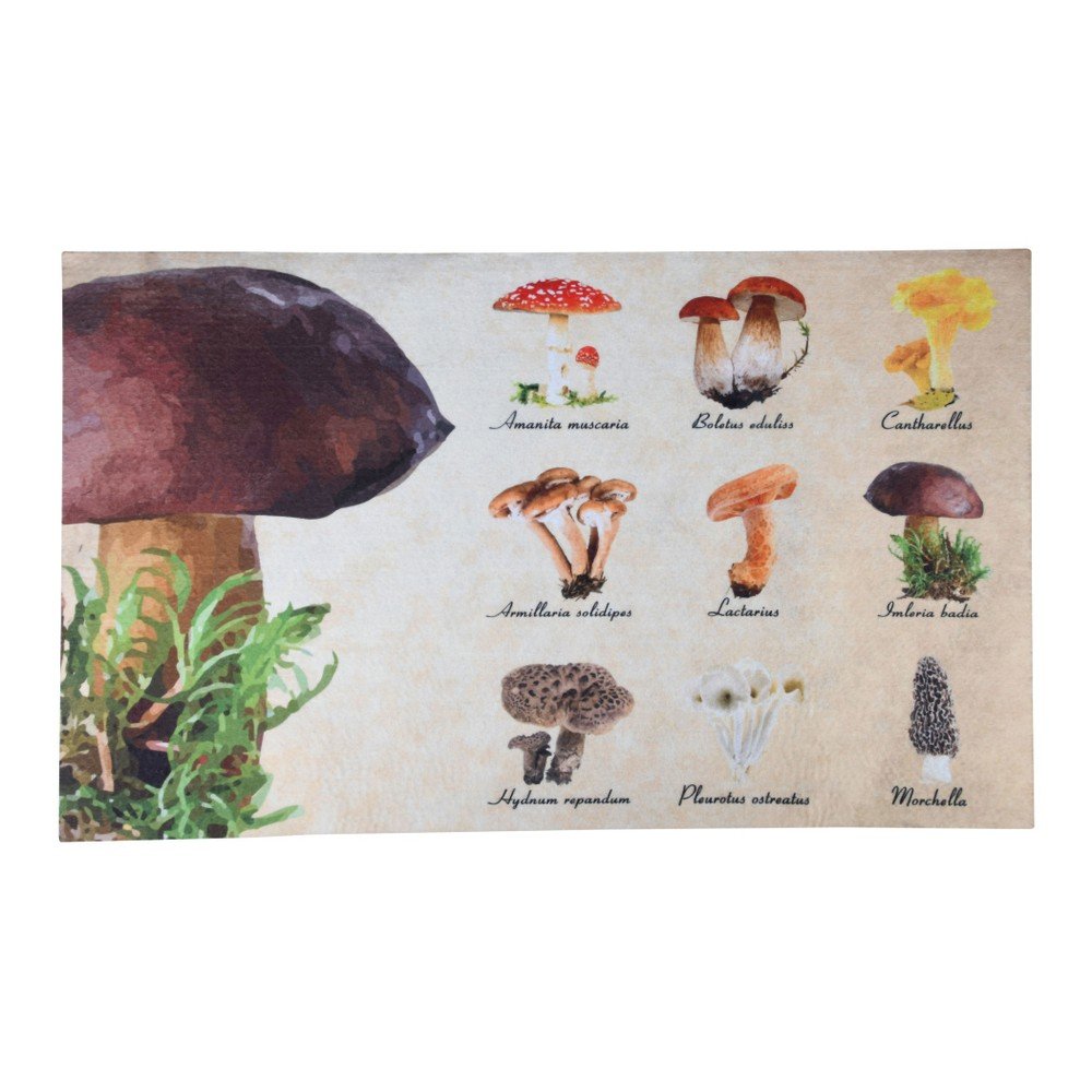 Rohožka s designem hub Esschert Design, 45,4 x 75 cm v:1311004