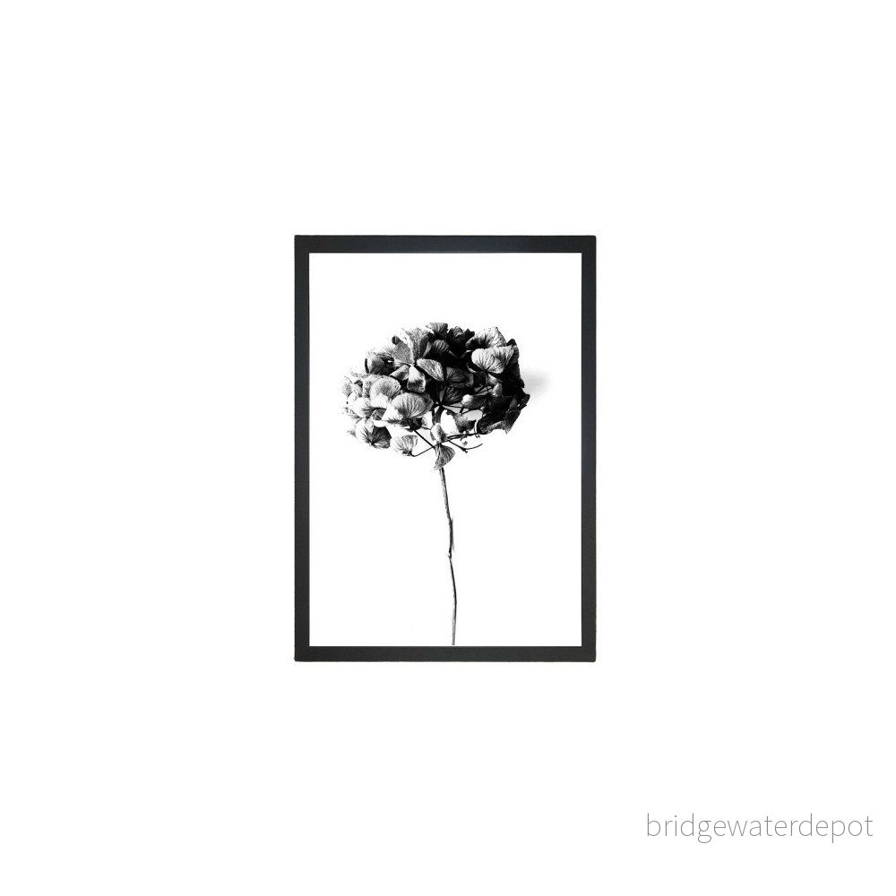 Obraz 24x29 cm Velvet Flower – Vavien Artwork v:1241000
