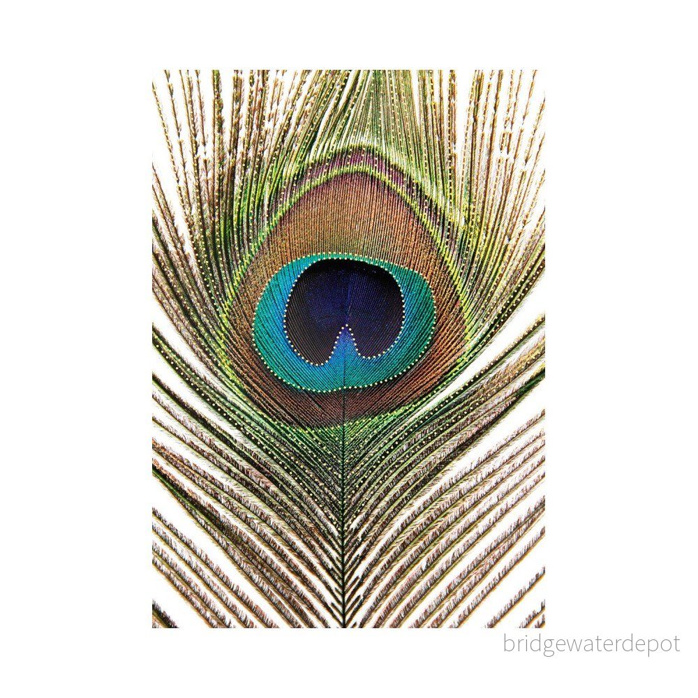 Obroz Eurographics Strass Feather v:874124
