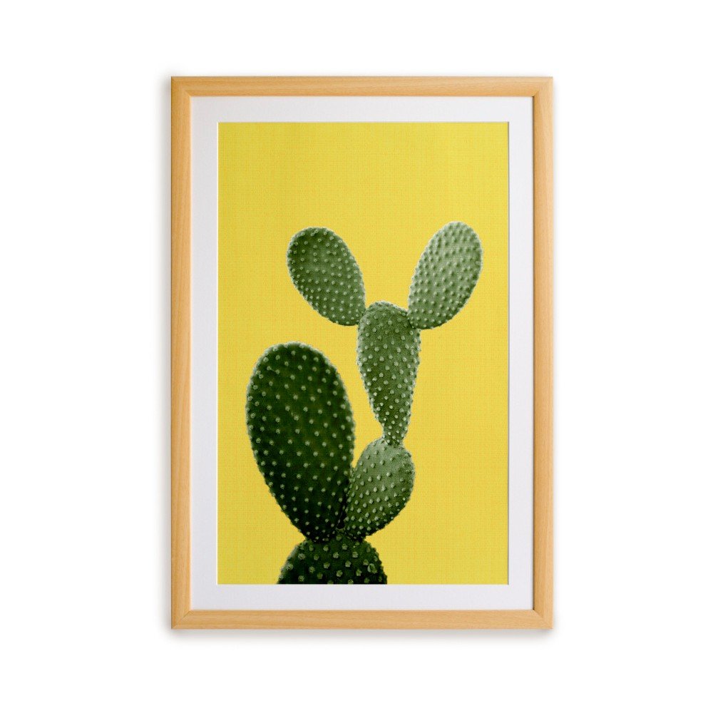 Obraz Really Nice Things Yellow Cactus v:898524