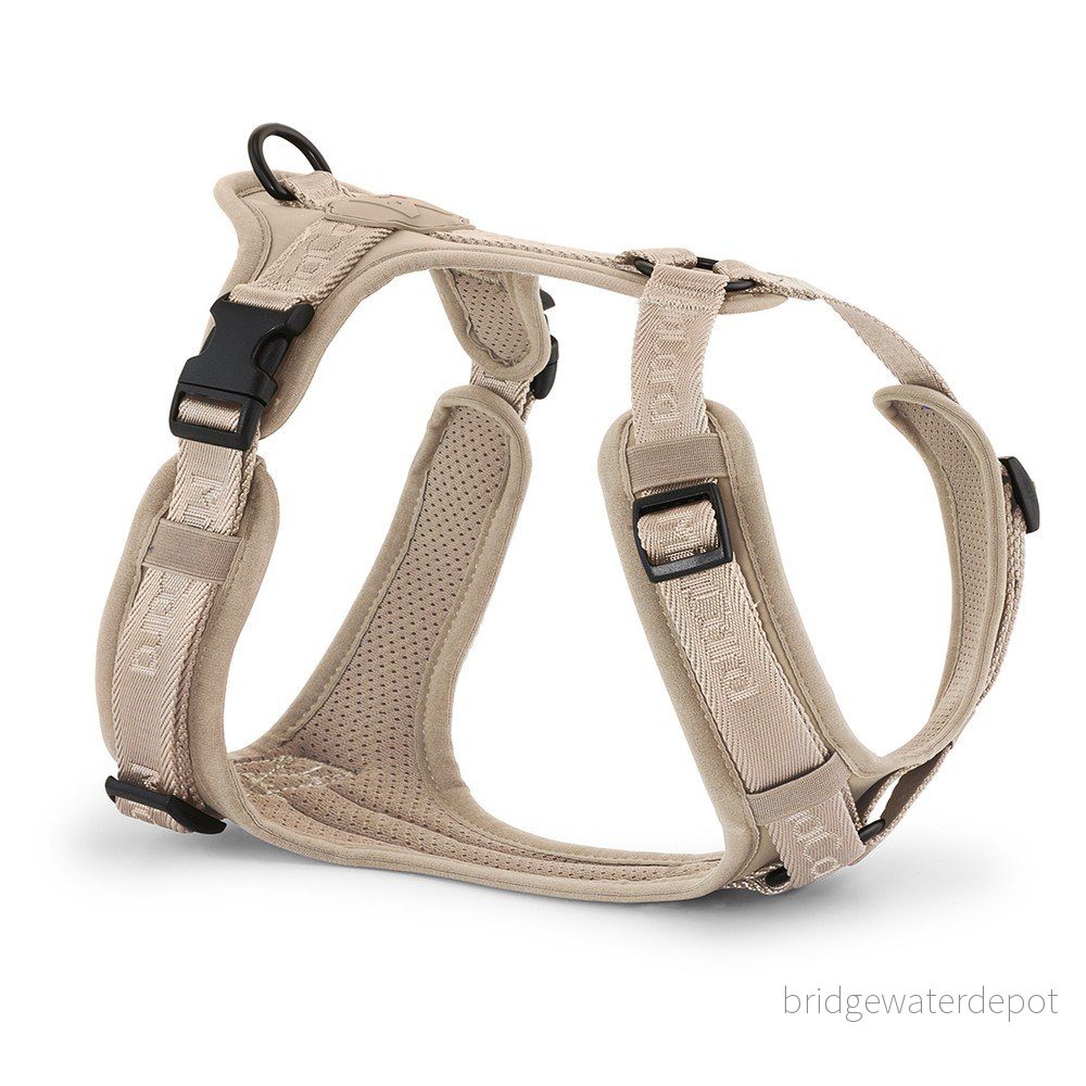Béžový postroj velikost S délka 30 cm Modena Greige S – MiaCara v:1675968